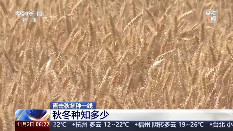 视频丨如何种好“过冬客人”冬小麦？专家介绍三个播种技巧