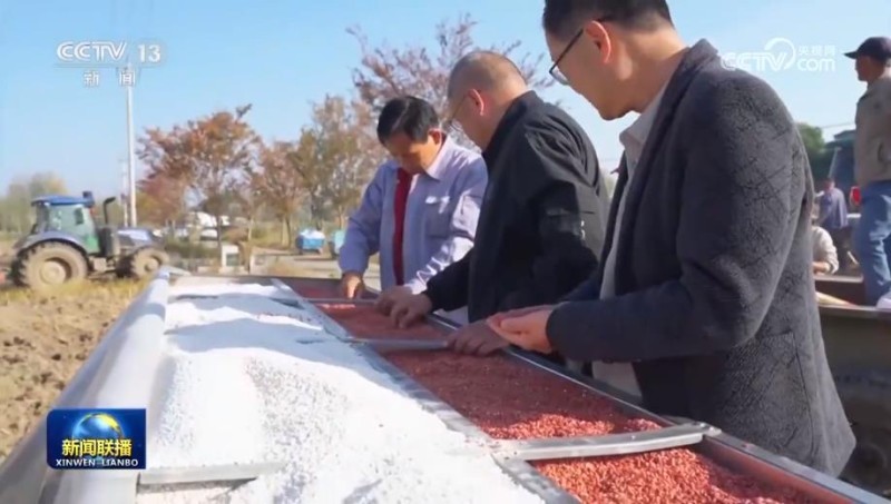 全国秋冬种加紧推进 冬小麦播种近七成