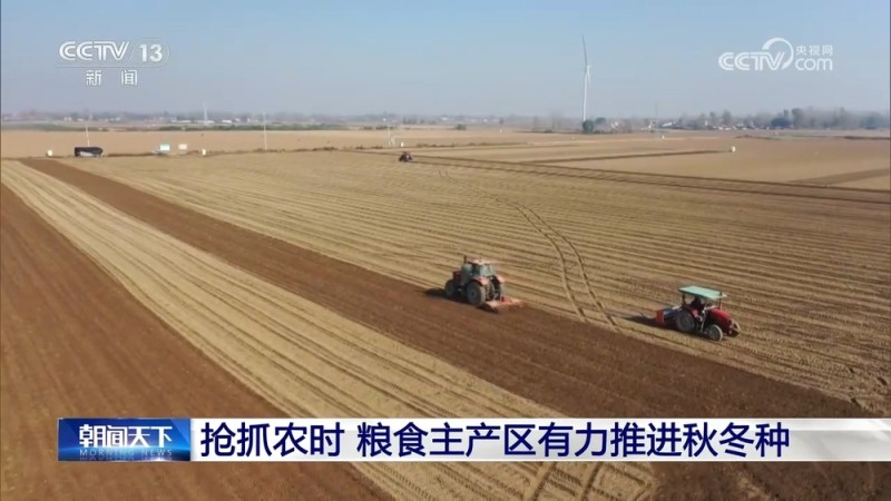 全国冬小麦播种过八成 粮食主产区有力推进秋冬种