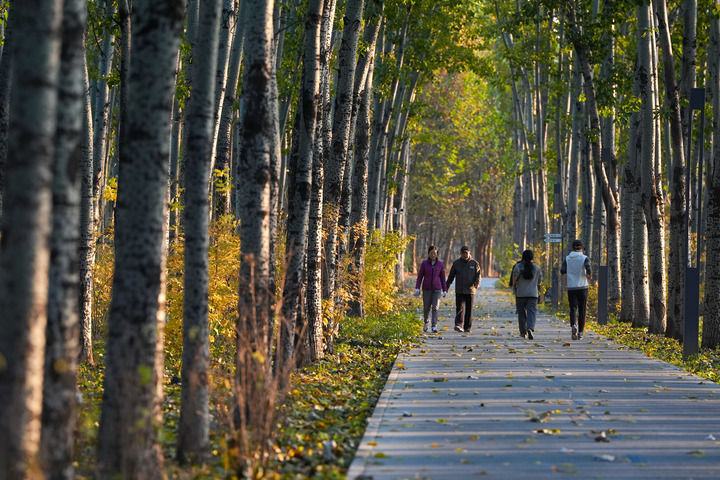 一张蓝图何以绘到底――北京以规划引领超大城市治理的启示