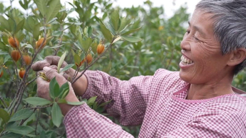 新华视点｜中部地区贯彻落实四中全会精神 以高质量发展书写中部崛起新篇章