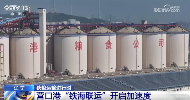 “铁海联运”“黄金水道”按下秋粮运输“加速键” 为全国粮食安全筑牢坚实屏障
