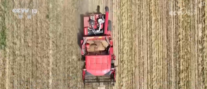 “硬投资”“软建设”协同发力 多维度透视“两重”建设阶段性成果