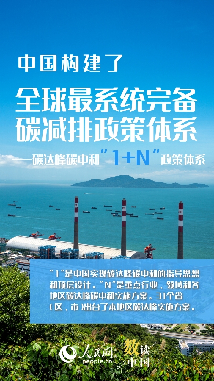 数读中国丨看这抹绿何以赏“新”又悦目