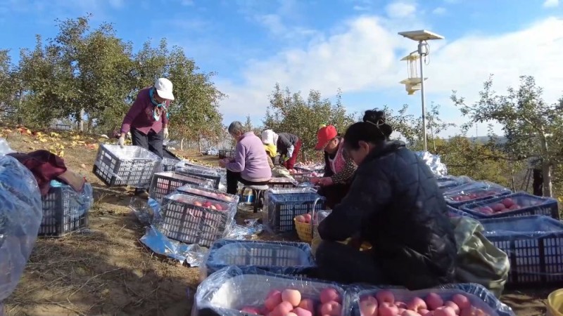 新华视点｜生态绘新卷 各地绘就绿色发展好风光