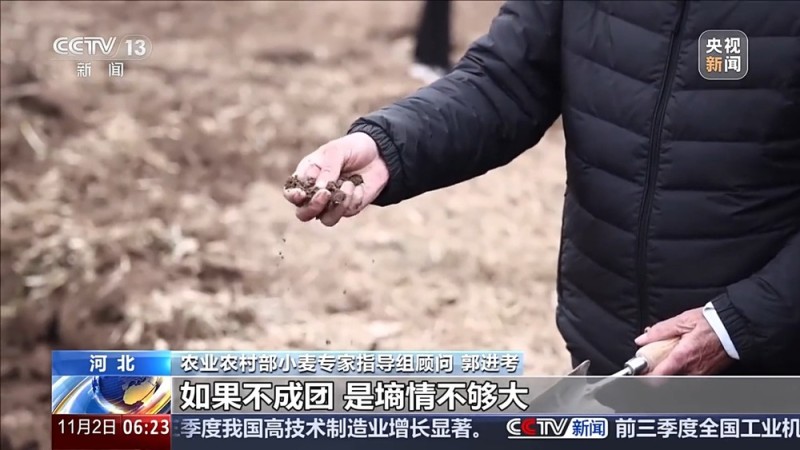 视频丨如何种好“过冬客人”冬小麦？专家介绍三个播种技巧