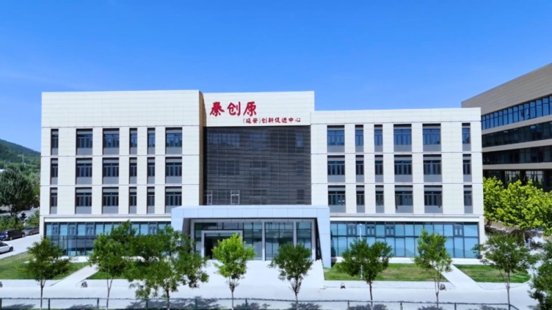 【理响中国・薪火“燃”青春】百花齐放的城市新产业：从能源依赖到双轮奔腾