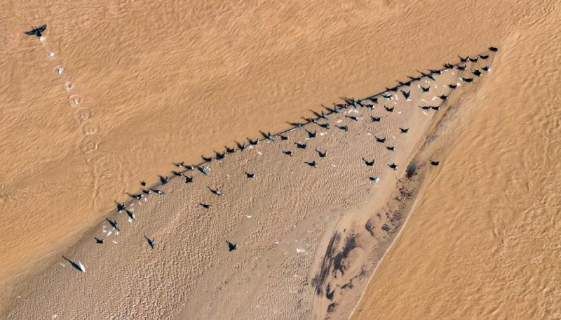 新华鲜报・规划建议新看点丨拓展流域经济 做好江河“大文章”