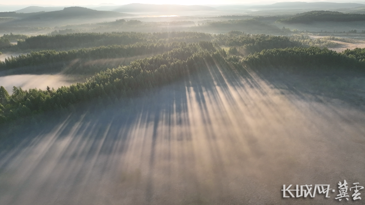 71 四中全会精神在基层丨一笔点“碳”成“金”的生态账
