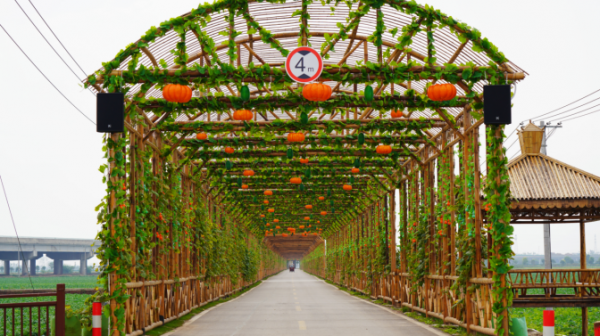 【理响中国・一线探新】探寻诗意嘉鱼的绿色富民密码