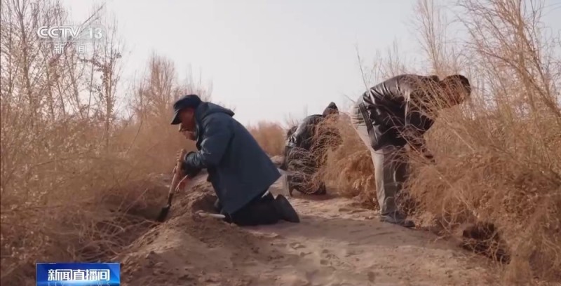 从“死亡之海”到“水产绿洲” 解锁新疆“点沙成金”的密码→