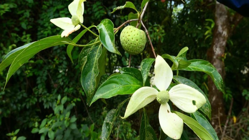 眼中的“禁区”为何却是生物多样性宝库？