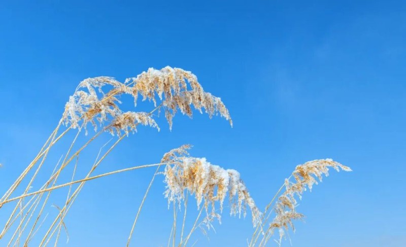 天气一变,为何关节就痛?丨科普时间