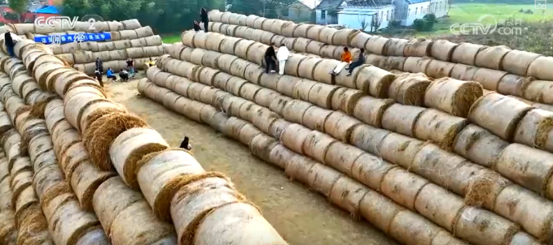 花样新场景蕴藏新潜力！消费领域“新供给+新需求”激发经济“新活力”