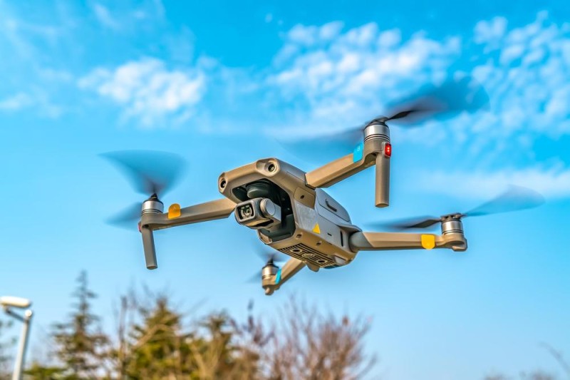 松材线虫病的危害有多大?如何有效“对症下药”?专家解读