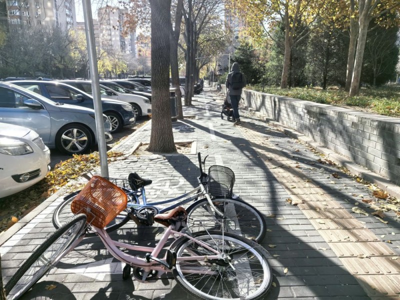 寒潮来袭、大风呼啸,如何应对?