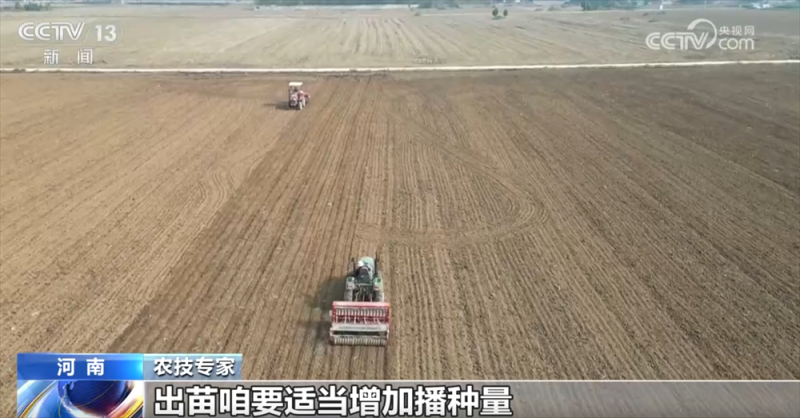 “良机+良技+良种”助力秋冬种按下“加速键” 端稳端牢“中国饭碗”