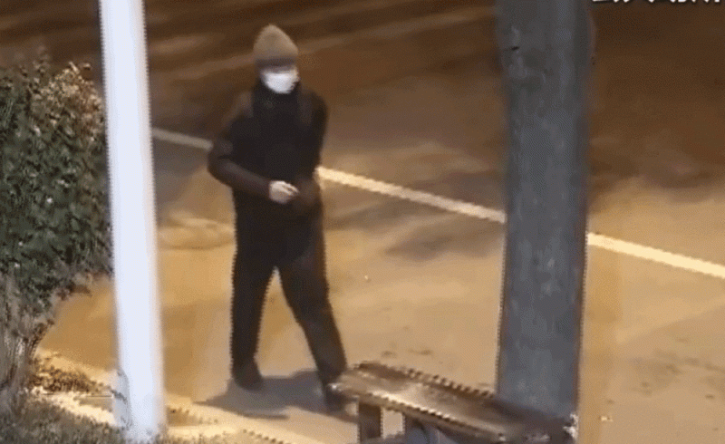 法治在线丨百万金饰被藏隐秘的角落 警方靠两分钟犬吠声破案