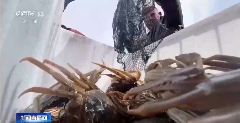 从“死亡之海”到“水产绿洲” 解锁新疆“点沙成金”的密码→