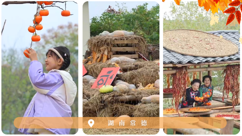 文化中国行｜赏秋正当时！“文旅+”新业态为秋日经济注入新活力