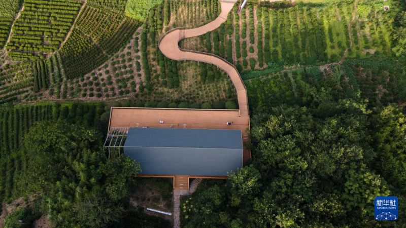 中国经济样本观察・县域样本篇丨从“养在深闺”到惊艳世人――揭秘庐江之变的密码