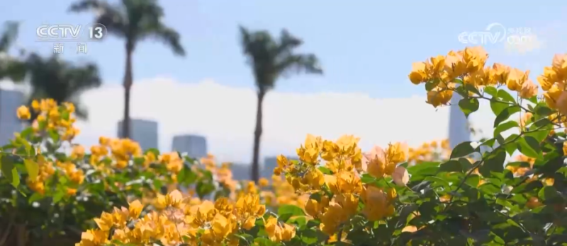 “公园+全运”打造赏花新体验 沉浸式感受“生态+体育”双重魅力