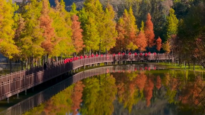 新华视点｜生态绘新卷 各地绘就绿色发展好风光