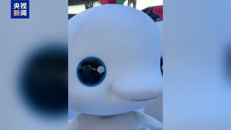 新闻周刊丨16斤玩偶服藏不住可爱 全运会吉祥物斗舞名场面