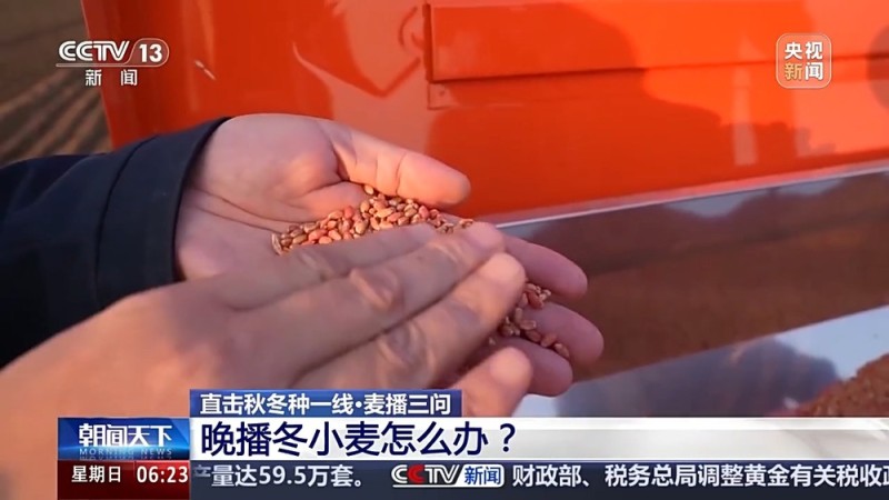 视频丨如何种好“过冬客人”冬小麦？专家介绍三个播种技巧