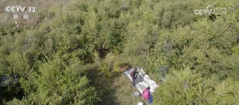 特色产业绘就百姓增收“实景图” 激活乡村振兴“一池春水”