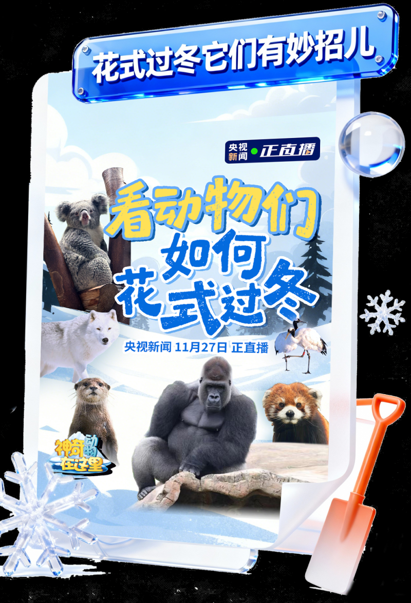 总台周看点｜燃情冬日