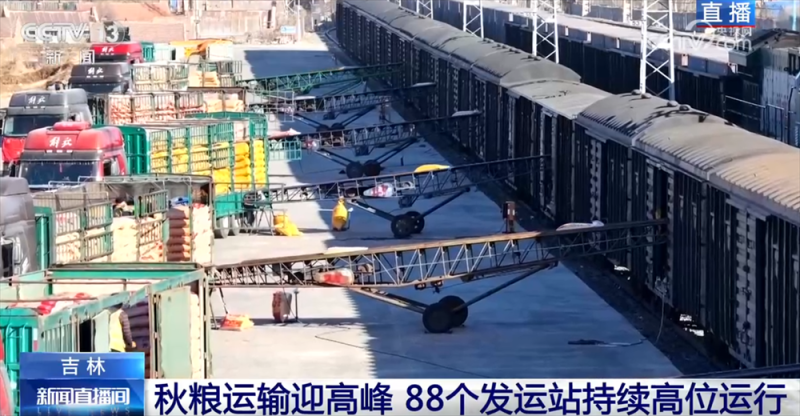 “铁海联运”“黄金水道”按下秋粮运输“加速键” 为全国粮食安全筑牢坚实屏障