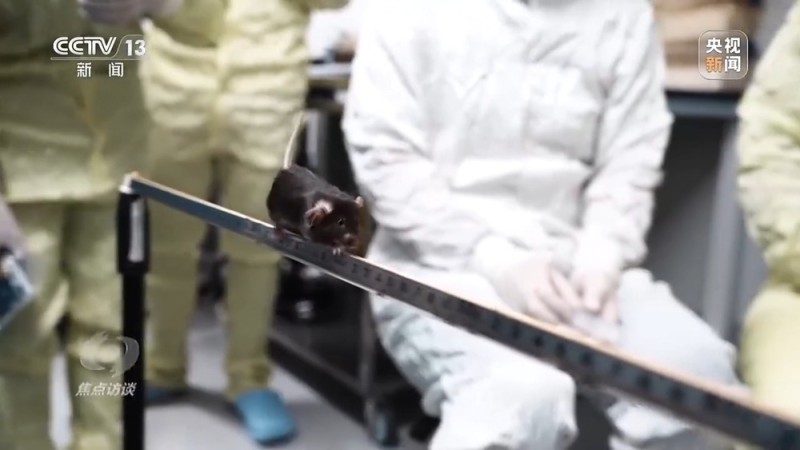 焦点访谈丨中国航天奏响新乐章 神二十一有接力更有突破！