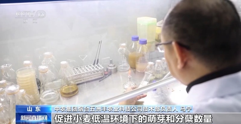 视频丨从数字竞拍到田头服务 农资保供“组合拳”护航秋冬种