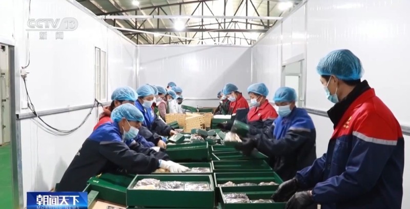 视频丨从“外出务工”到“就近就业” 农民工就业渠道更加多元