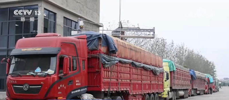 机器人上阵、强化服务……各地多措并举护航秋粮收购“加速跑”