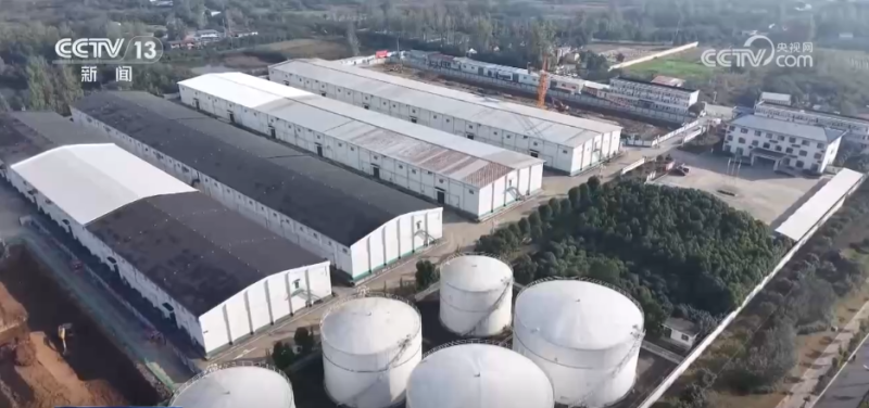 机器人上阵、强化服务……各地多措并举护航秋粮收购“加速跑”