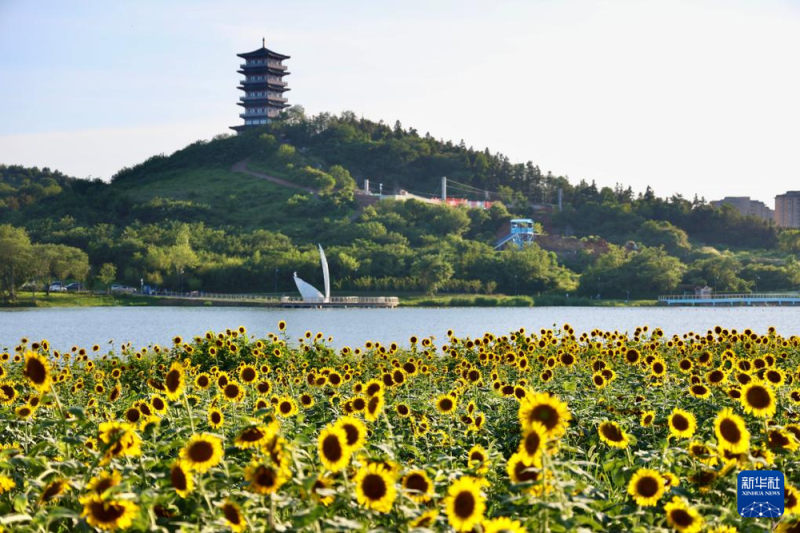 中国经济样本观察・县域样本篇丨从“养在深闺”到惊艳世人――揭秘庐江之变的密码