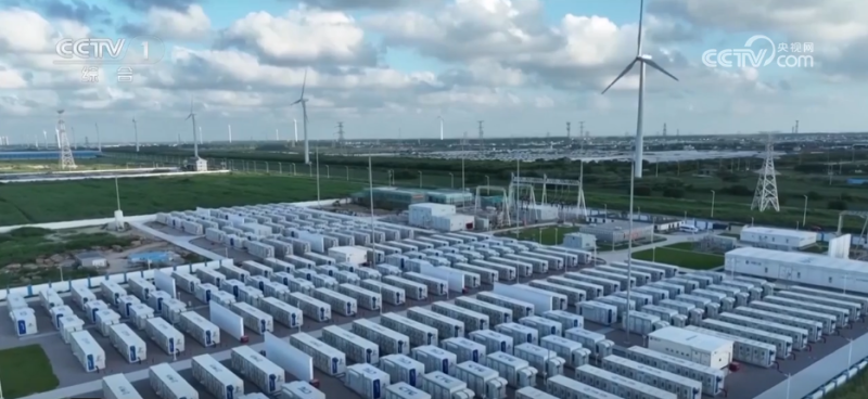 “新”字突出！各地不断打造人才培养新生态 激发高质量发展新动能