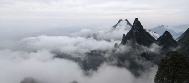 以笔墨铸时代风骨 用绘画助文化发展――北派山水艺术中心画家湖南采风创作行