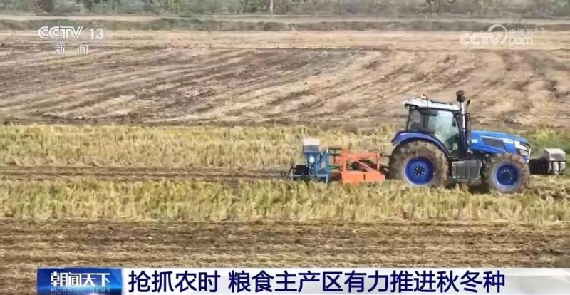 全国冬小麦播种过八成 粮食主产区有力推进秋冬种