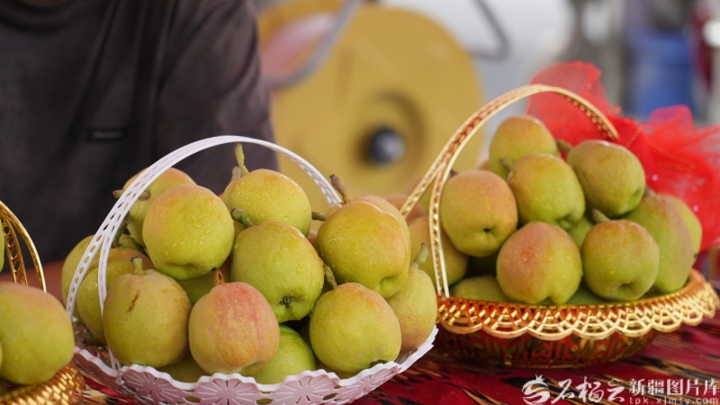 奋进的新疆・我们的“十四五”丨天山果香飘万里