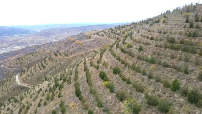 新华视点丨乡村振兴路 绿色富民图