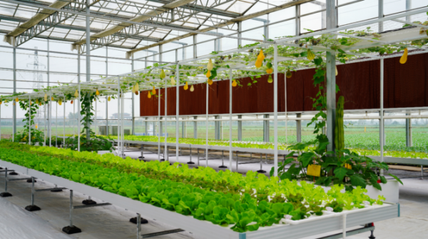 【理响中国・一线探新】探寻诗意嘉鱼的绿色富民密码