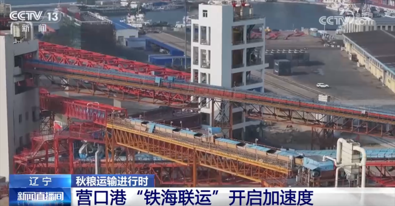 “铁海联运”“黄金水道”按下秋粮运输“加速键” 为全国粮食安全筑牢坚实屏障