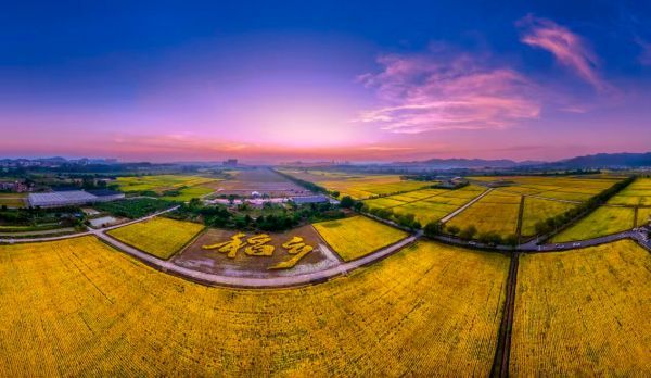 【理响中国・一线探新】海阔风正好扬帆，广州“百千万工程”行在前