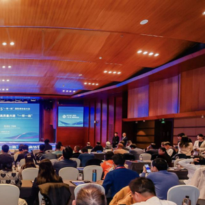 2025“一带一路”国际商协会大会在京举行