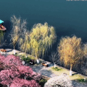 总书记关心的世界文化遗产｜一湖水墨润文脉