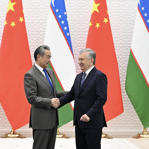 乌兹别克斯坦总统米尔济约耶夫会见王毅