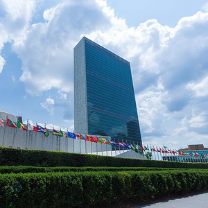 中国女法官张玲玲当选联合国上诉法庭法官